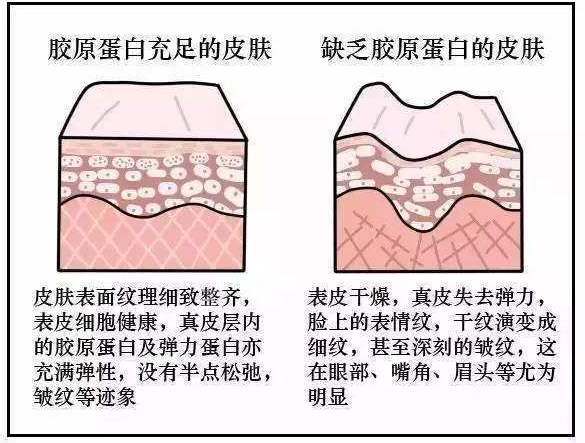 一篇大實(shí)話丨讀懂年輕五歲，速來圍觀